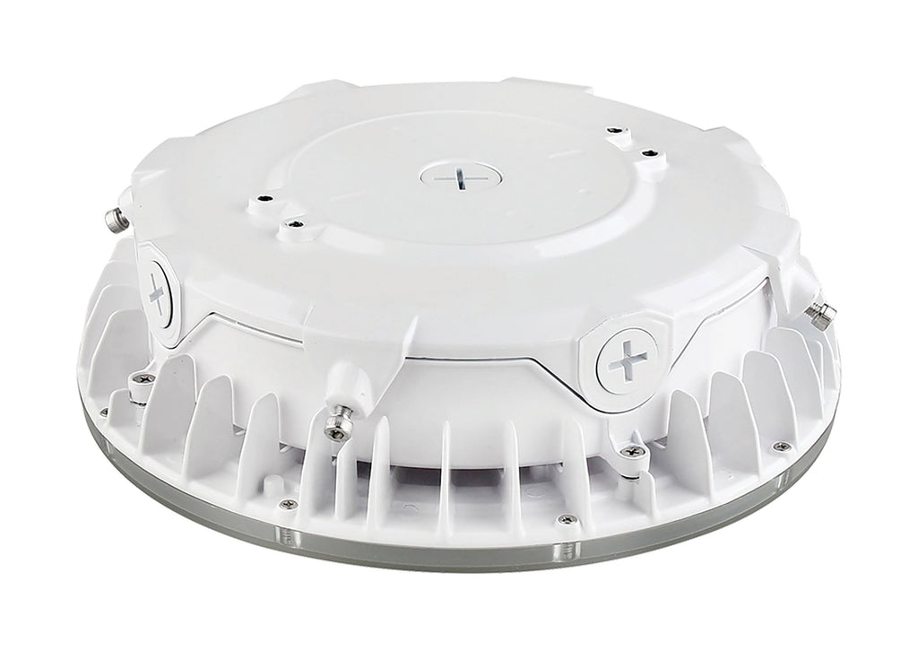 25W LED Canopy Light R18279