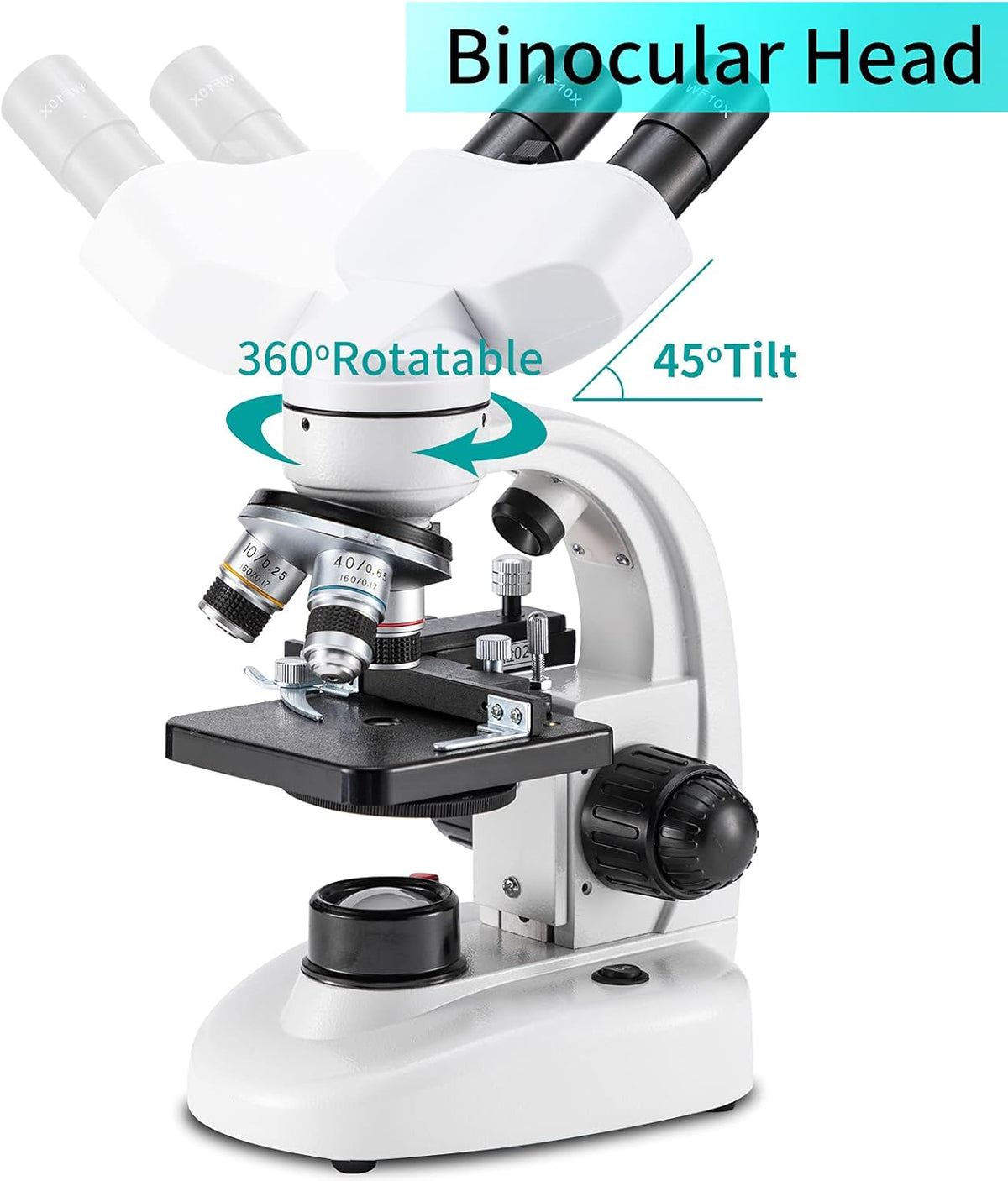Compound Binocular Microscope, 40X-2000X Magnification, LED Illumination, Two-Layer Mechanical Stage G63006