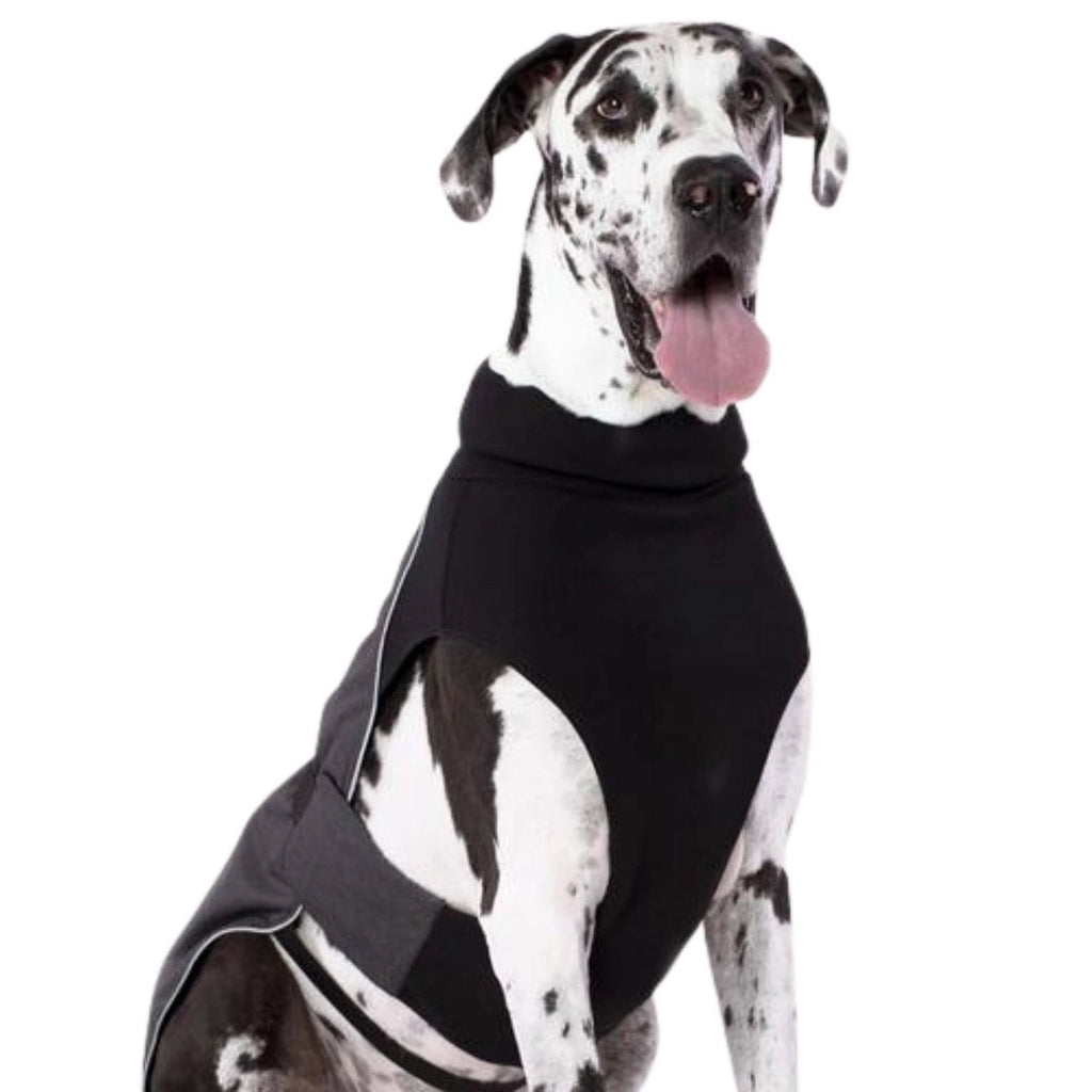 Charcoal Dog Coat N888