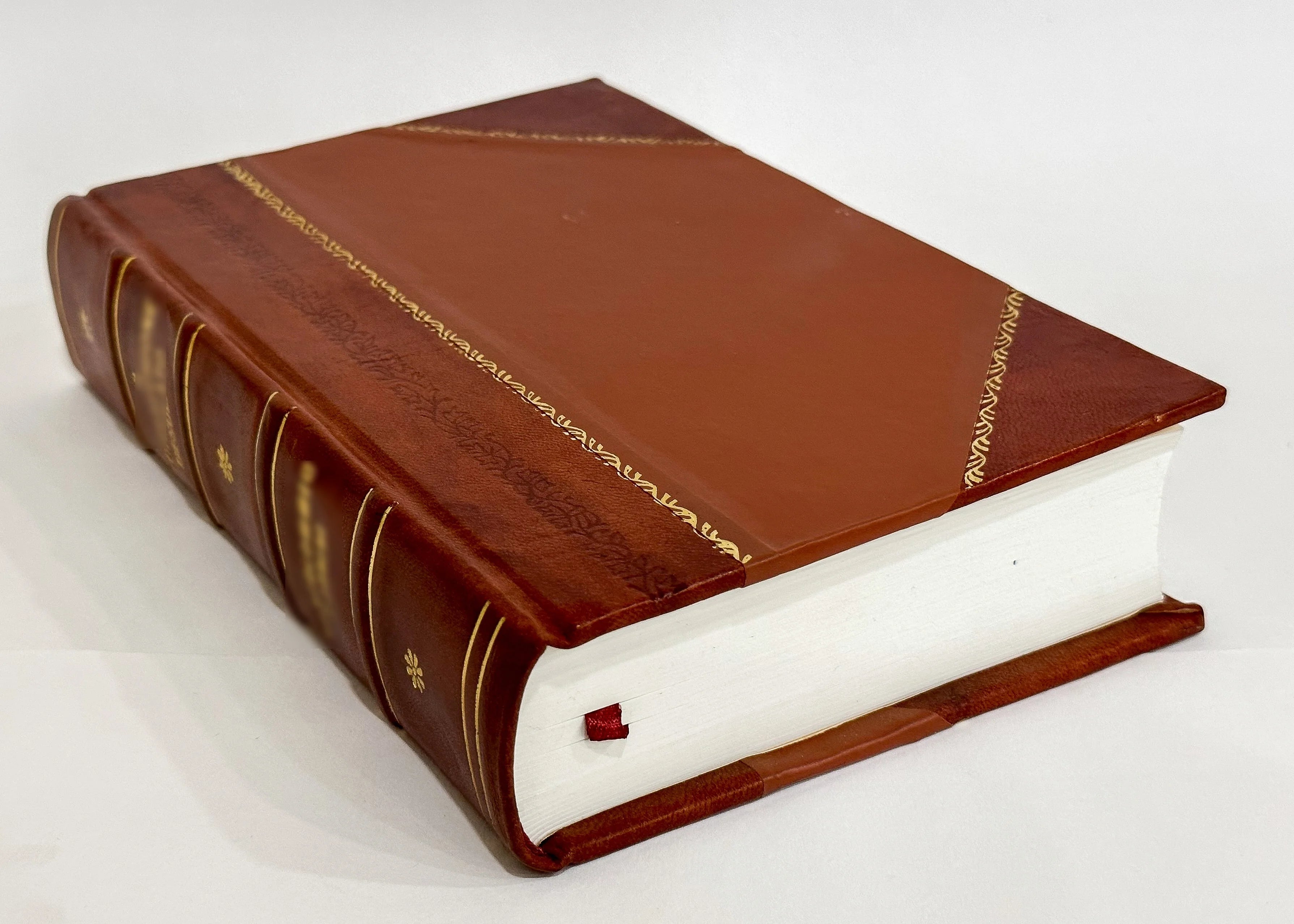 Irish-English Dictionary P12997