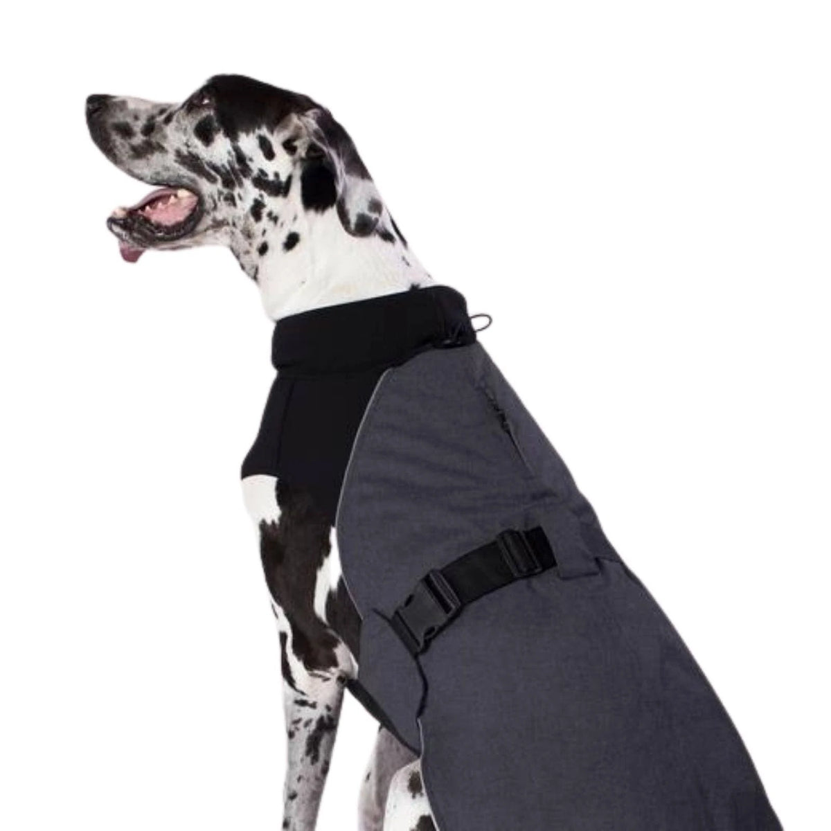 Charcoal Dog Coat N888