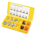 100 PC Grease Fitting and Cap Kit V8782