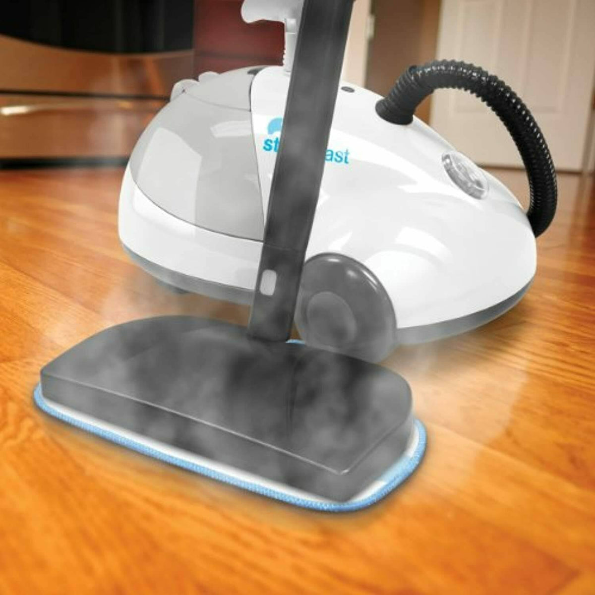 Canister Steam Cleaner N458
