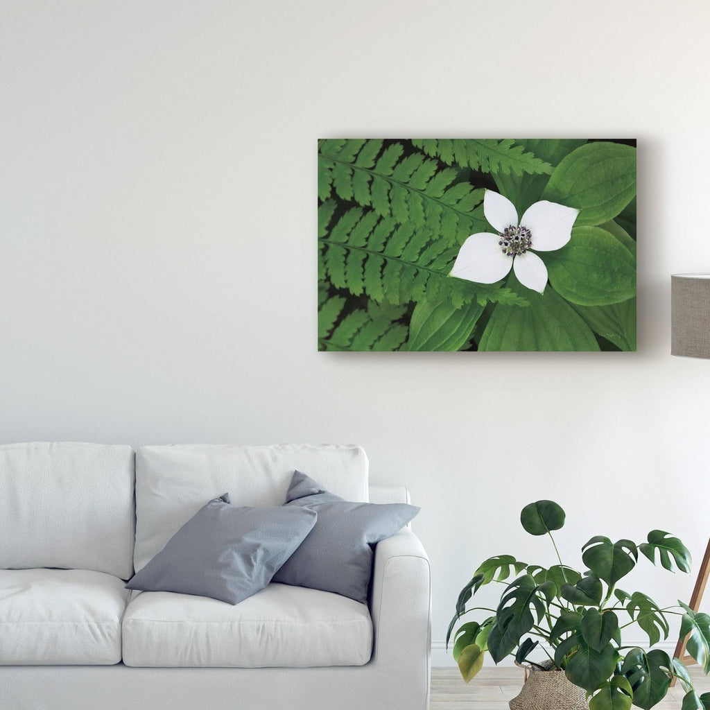 Canvas Art U3640