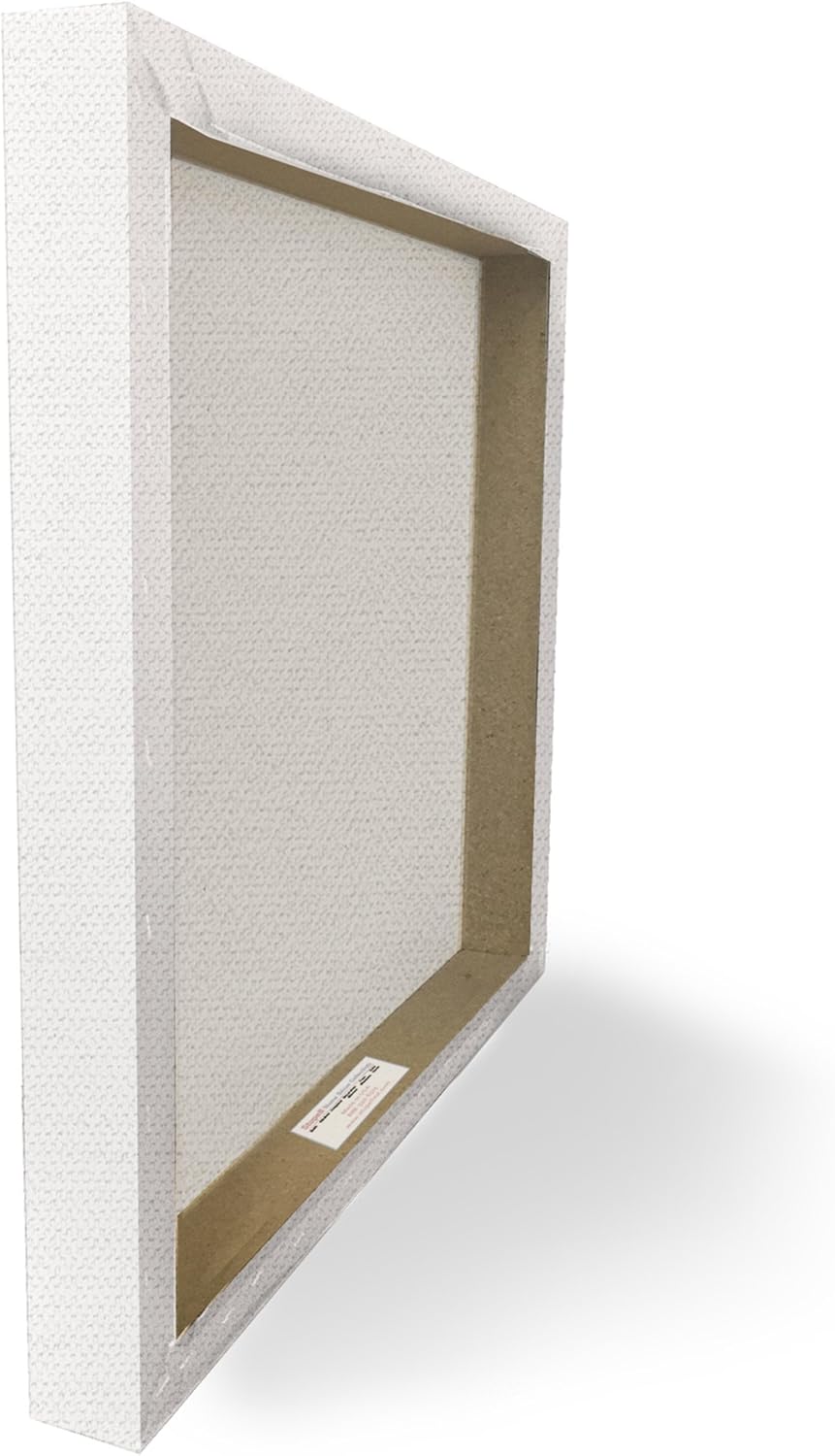 Stretched Canvas Wall Art, 16 x 1.5 x 20, Multi-Color B910371