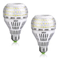 250-Watt Equivalent A21 Non-Dimmable LED Light Bulb Daylight 5000K (2-Pack) X4320