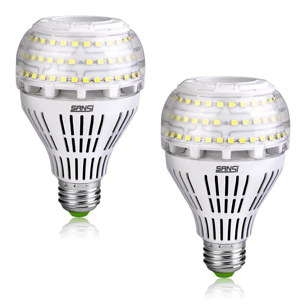 250-Watt Equivalent A21 Non-Dimmable LED Light Bulb Daylight 5000K (2-Pack) X4320