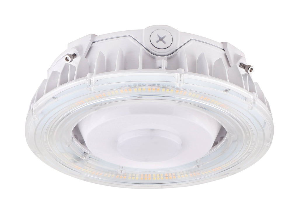 25W LED Canopy Light R18279