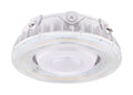25W LED Canopy Light R18279