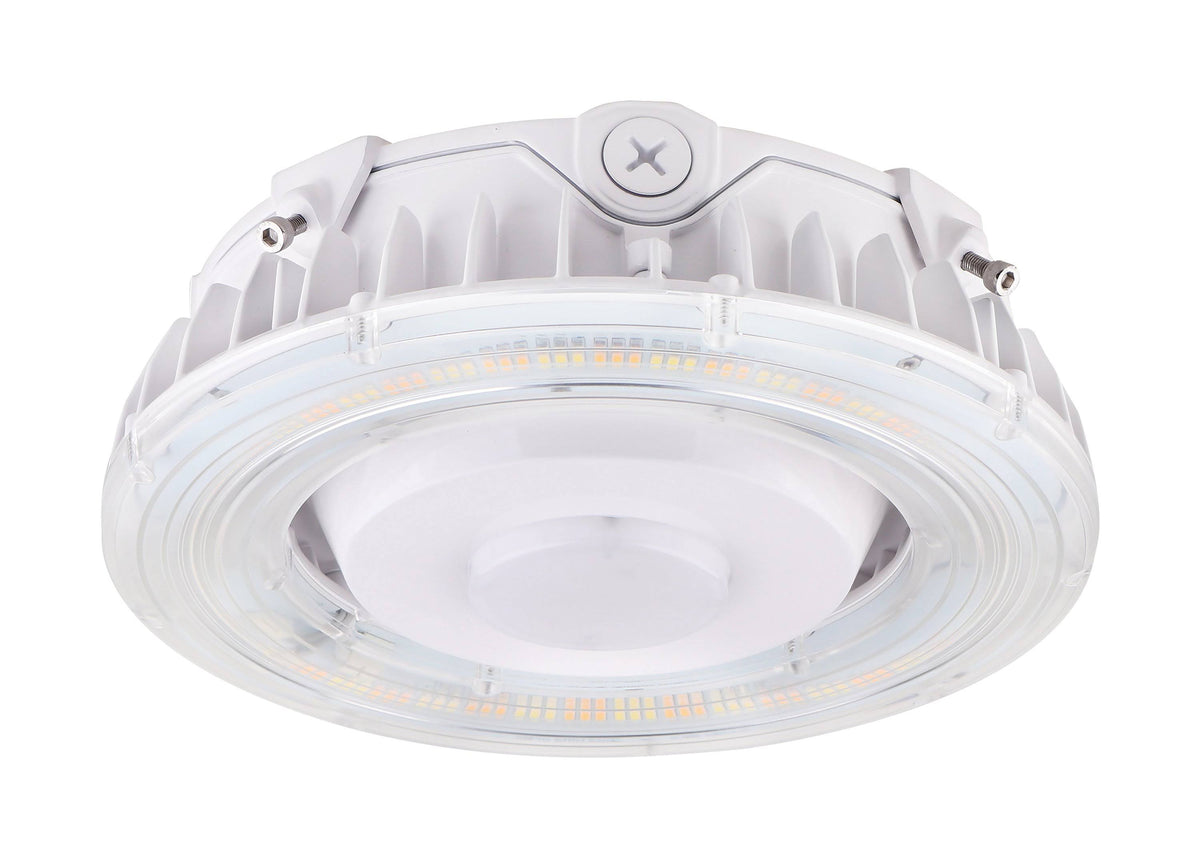25W LED Canopy Light R18279
