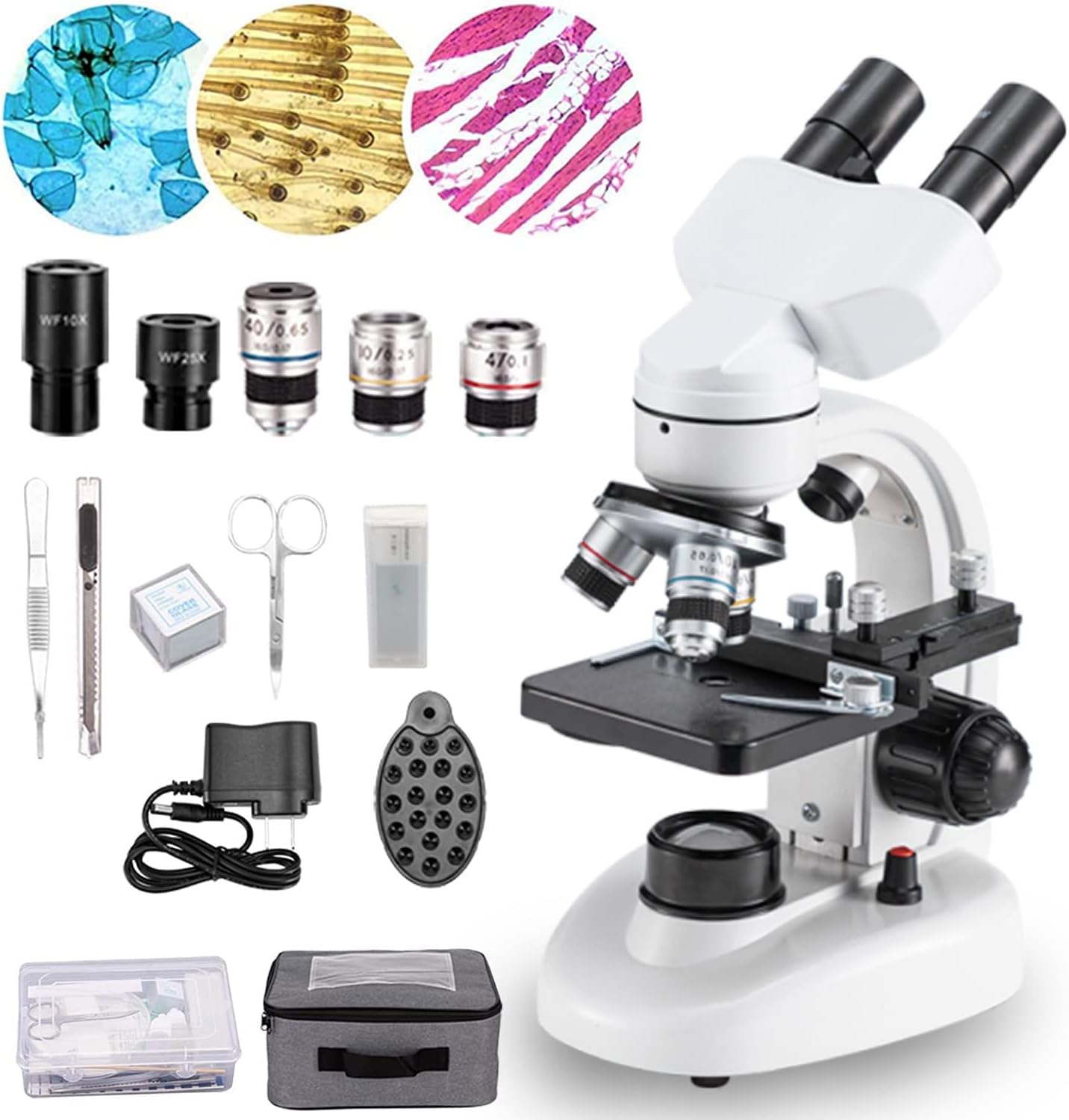 Compound Binocular Microscope, 40X-2000X Magnification, LED Illumination, Two-Layer Mechanical Stage G63006