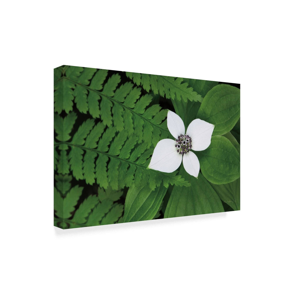 Canvas Art U3640