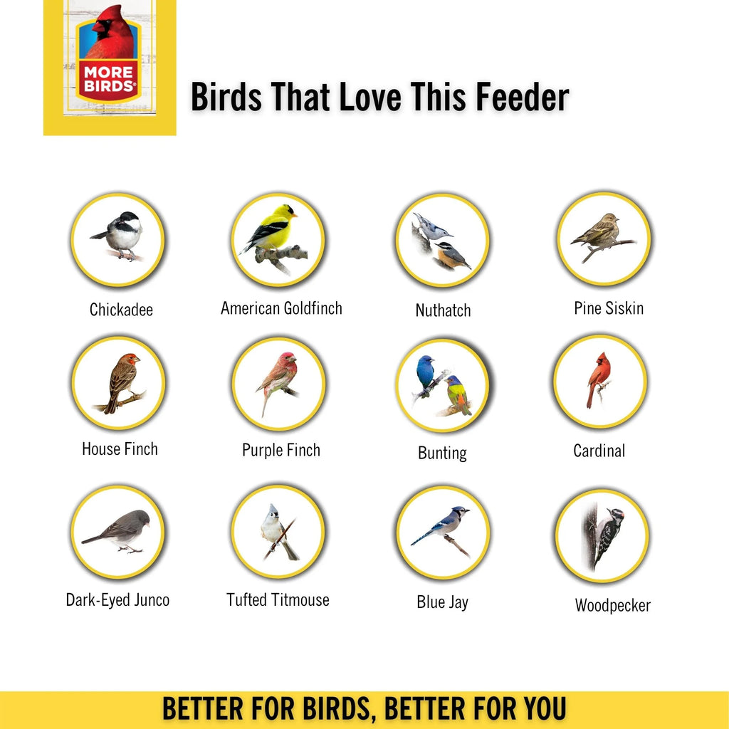Yellow 4 Ports Bird Feeder V65853