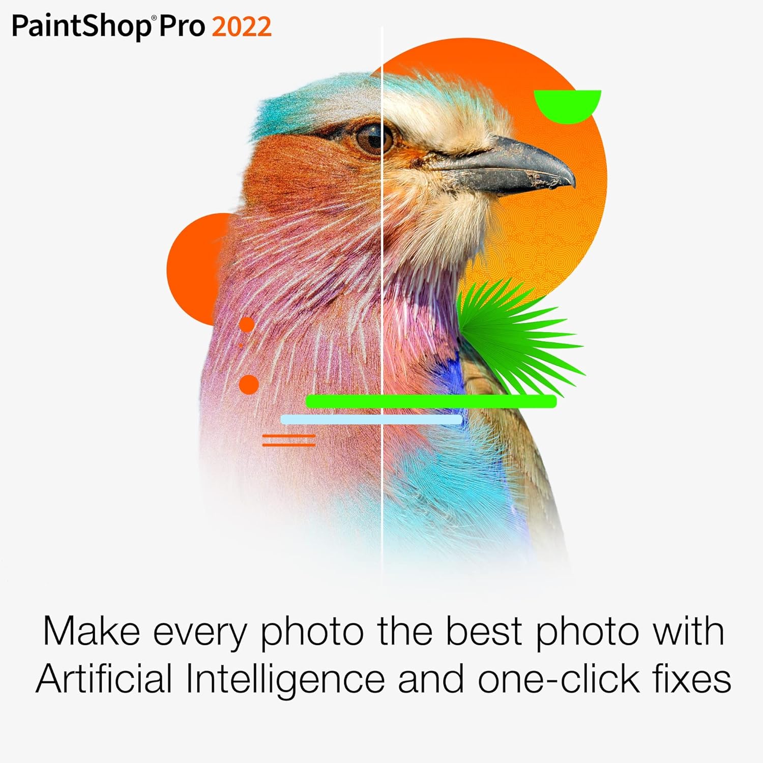 Photo and Video Editing Software O1402