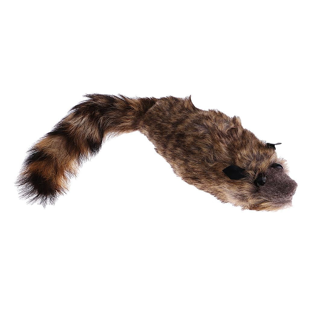 Raccoon Training R656