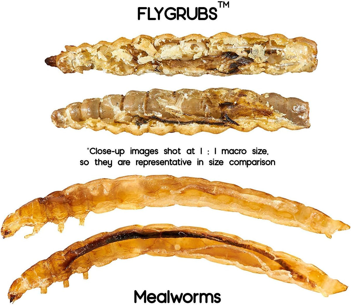 10 lb Non-GMO Chicken Feed Additive M7494