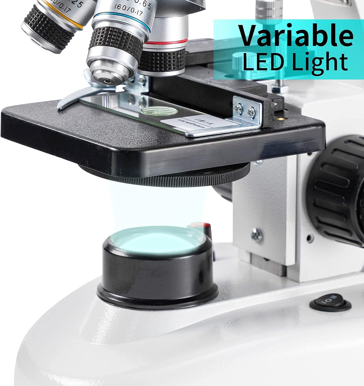Compound Binocular Microscope, 40X-2000X Magnification, LED Illumination, Two-Layer Mechanical Stage G63006