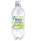 Lime Beverage, 20 Fl Oz Bottles (12 Pack) B3983