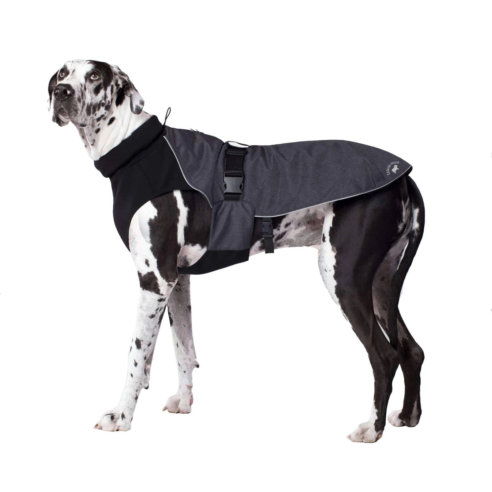 Charcoal Dog Coat N888
