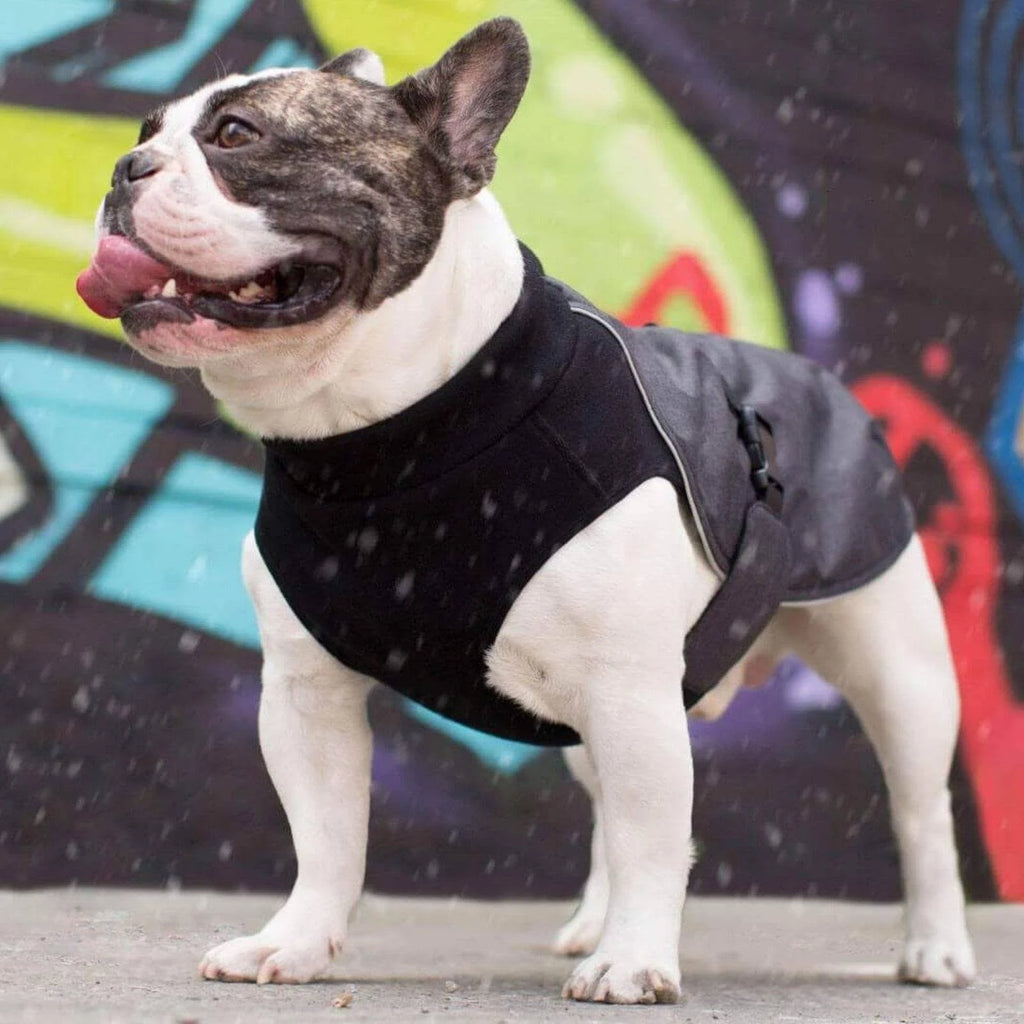 Charcoal Dog Coat N888