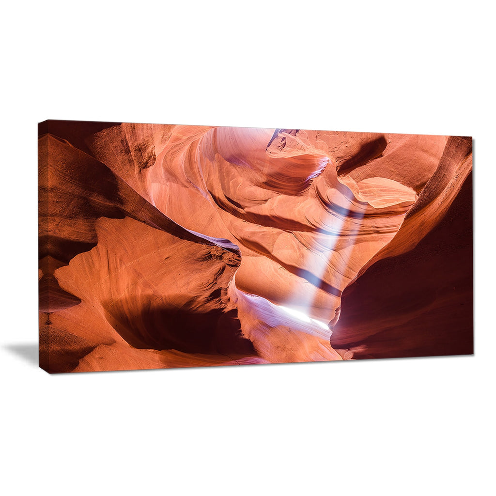 5 Piece Photographic Print on Wrapped Canvas Set Q17917