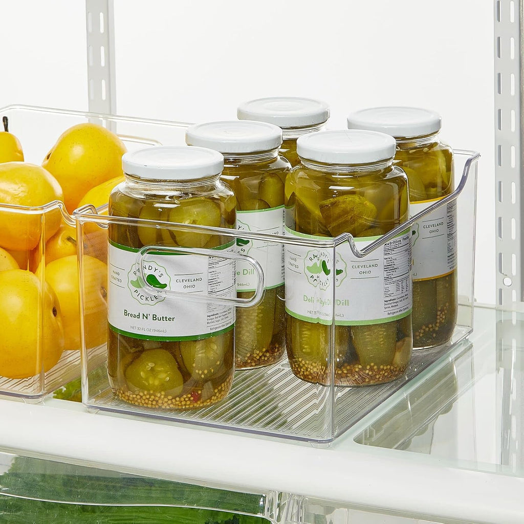 Clear Plastic Storage Bin with Handles R95094