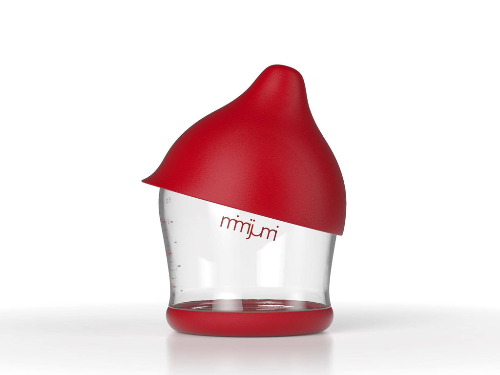 Breastfeeding Bottle Kit, Set of 4 F15692
