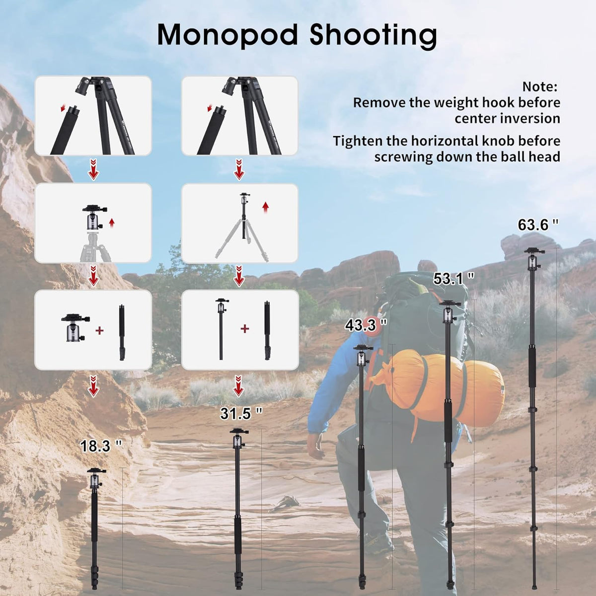 Compact Aluminum Camera Tripod 62 with 360 Degree Ball Head F352