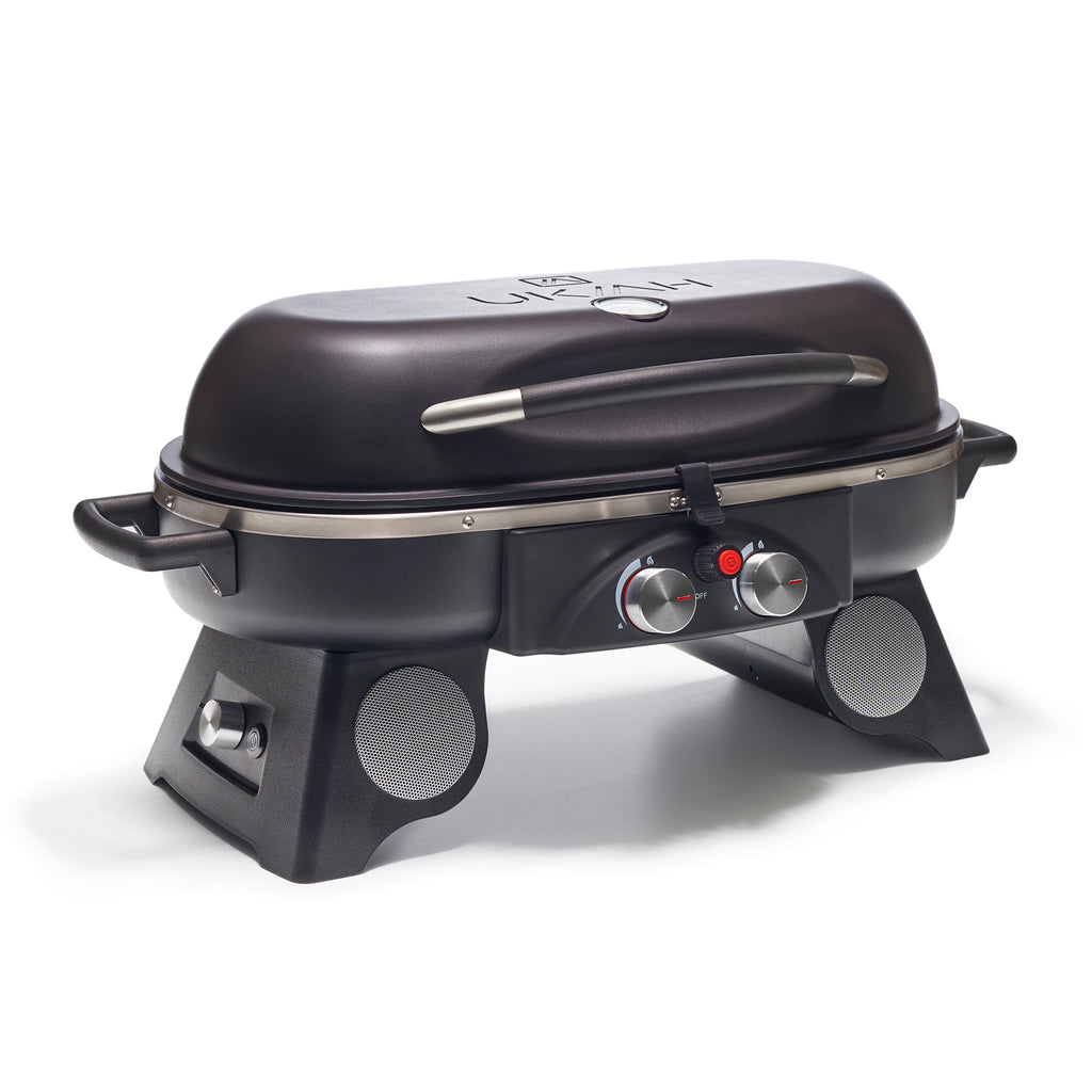 Portable Wireless Outdoor Propane Grill L212