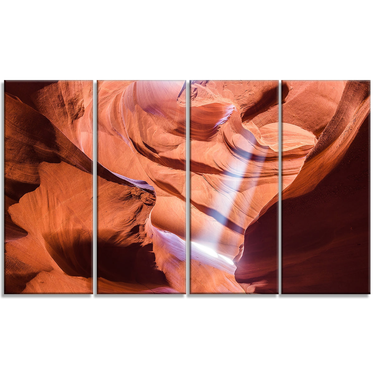 5 Piece Photographic Print on Wrapped Canvas Set Q17917