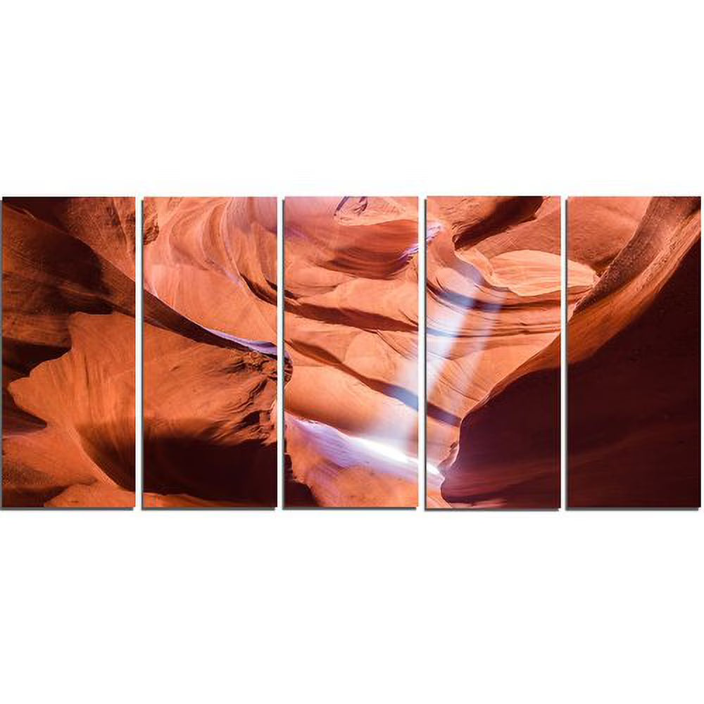 5 Piece Photographic Print on Wrapped Canvas Set Q17917