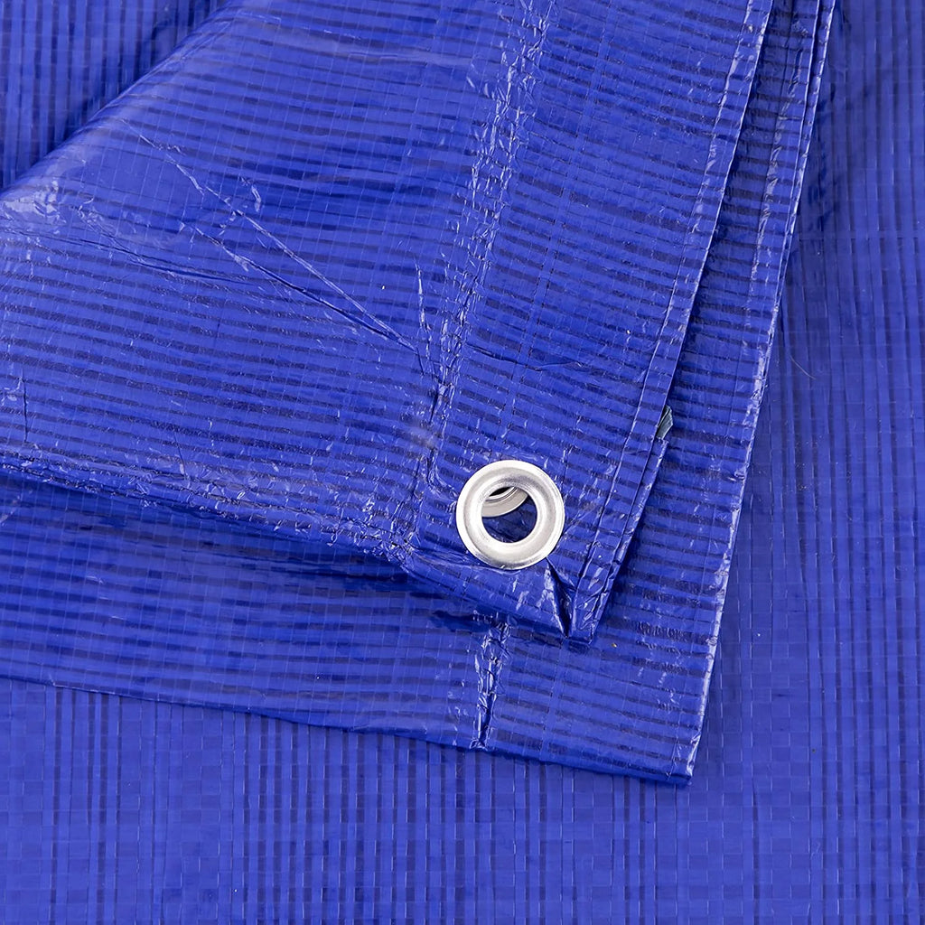 Blue Poly Tarp 12-ft x 36-ft H403161