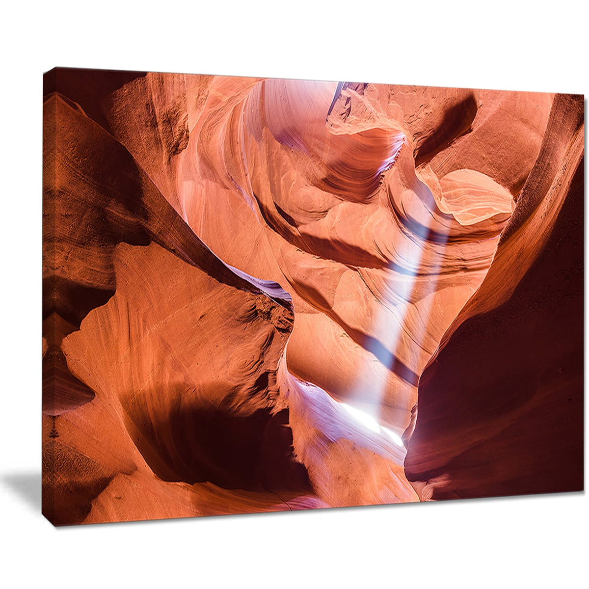 5 Piece Photographic Print on Wrapped Canvas Set Q17917