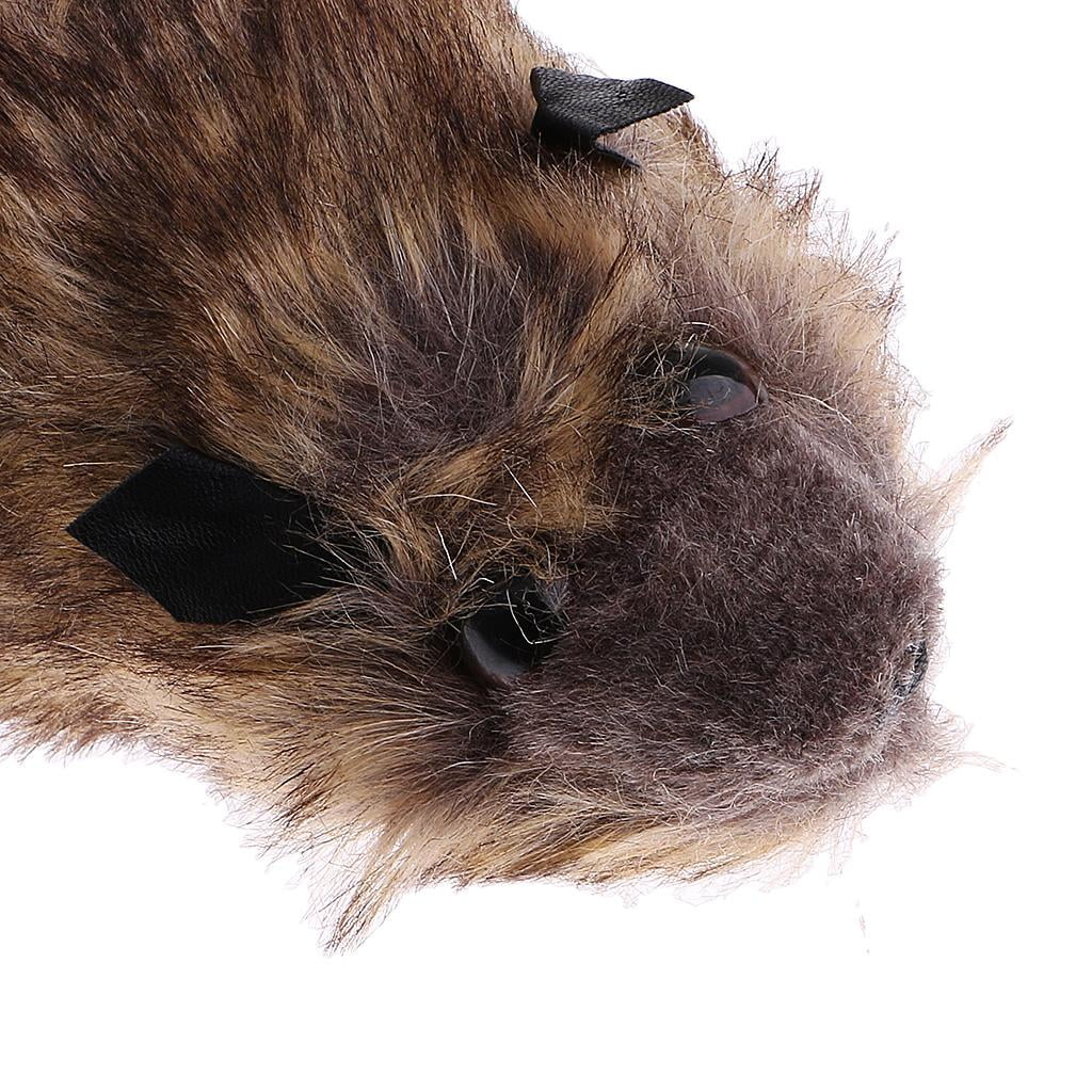 Raccoon Training R656