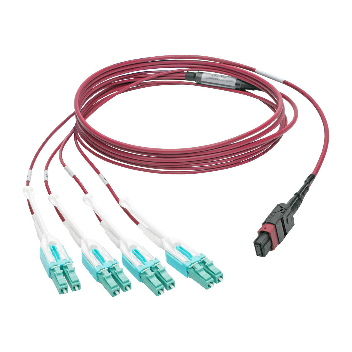 OM4 Fiber Optic Patch Cable 3.3 ft Magenta J515