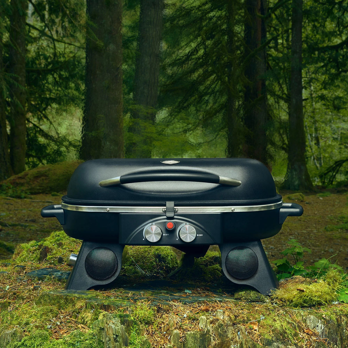 Portable Wireless Outdoor Propane Grill L212