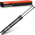 Tailgate Rear Hatch Lift Supports Shock Struts 2-PC Set Q455904