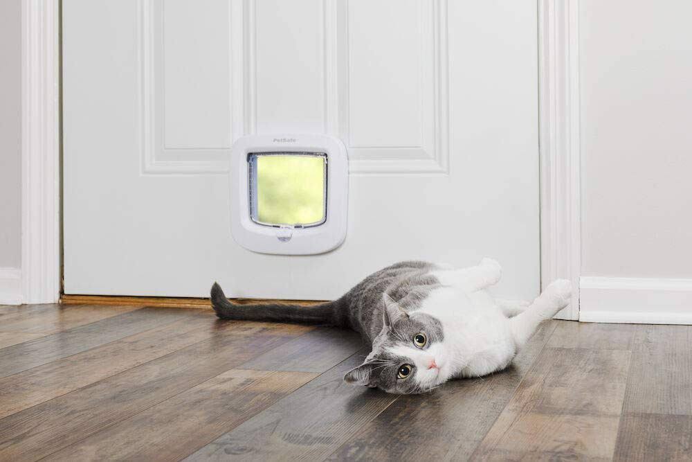 White 4 Way Locking Cat Flap O221