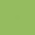 Green Matte Laminate Sheet B4394
